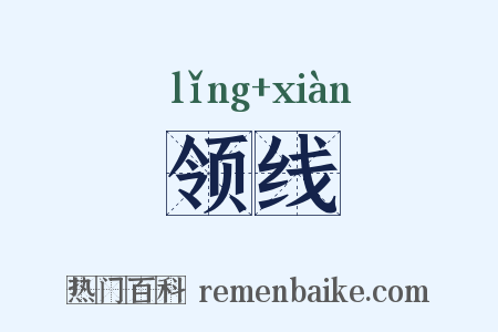 领线是什么意思的图片
